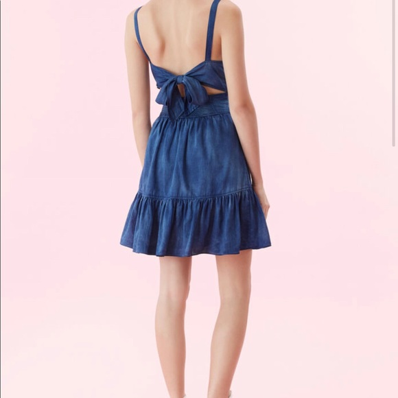 NWT Rebecca Taylor LA VIE TISSUE DENIM DRESS XS - Picture 8 of 8